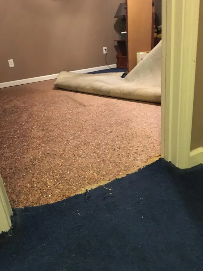 Carpet pad removal revealing water damage during Drying & Dehumidification in Credit River