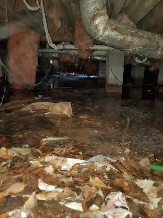 Crawl space flood assessment for Commercial Water Damage Restoration in Credit River